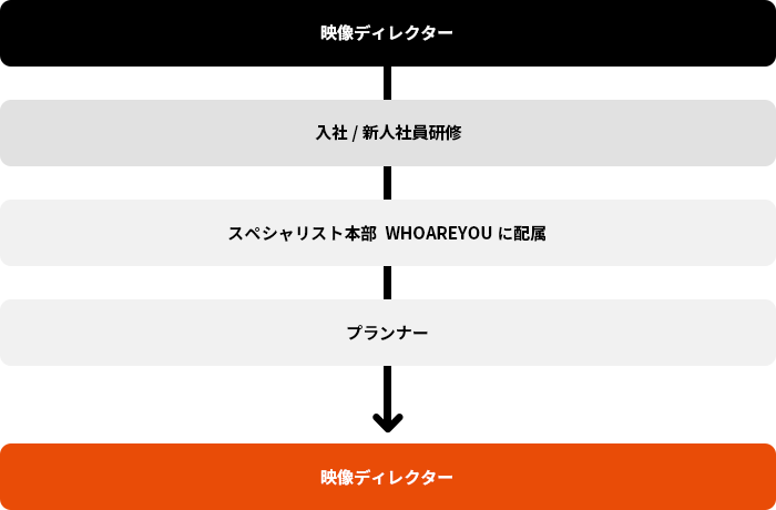 映像ディレクターのキャリアステップ
